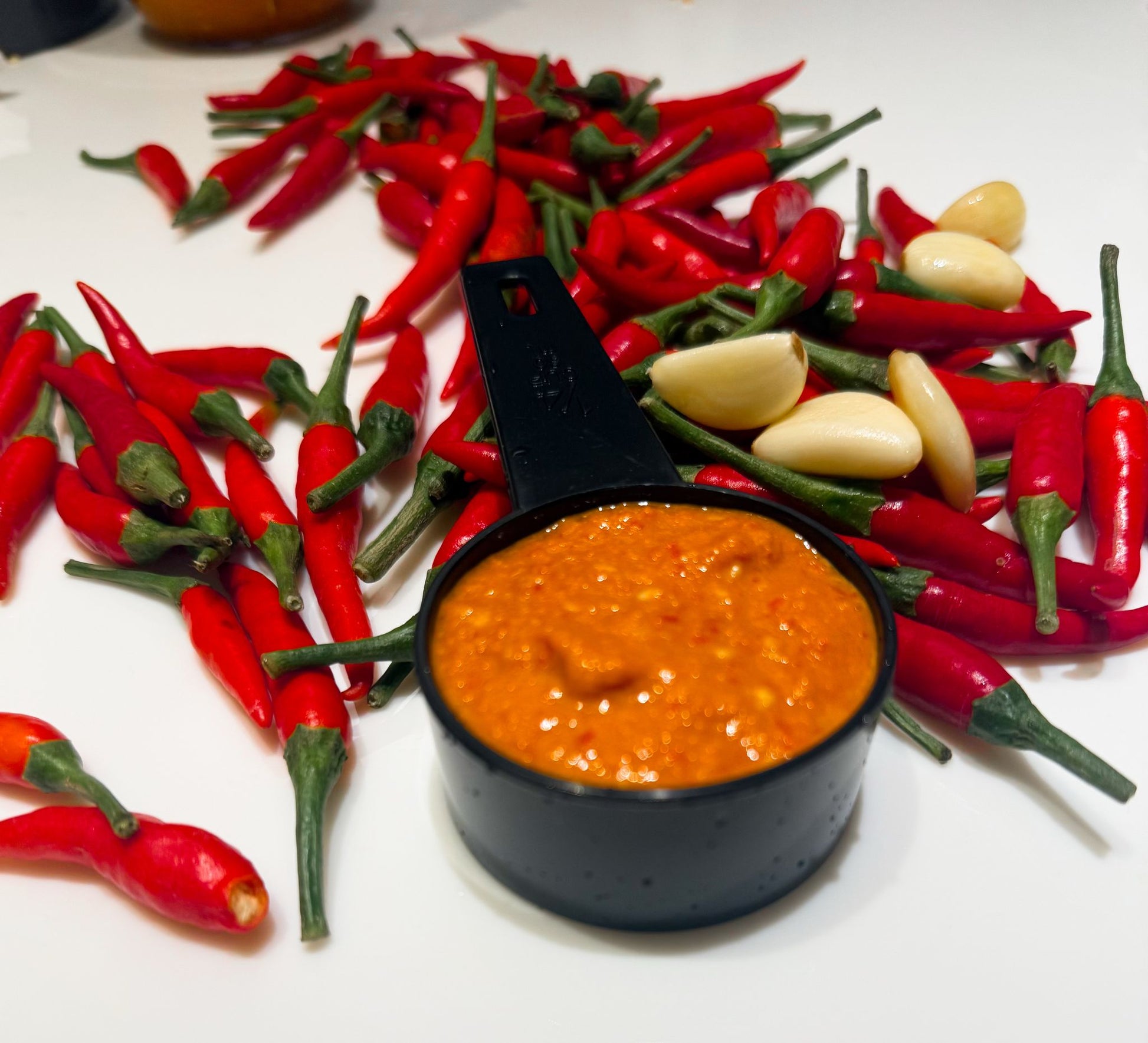 Sambal chili paste ingredients – dried chilies, garlic, and sauce used in Old Flame Singapore chili sauce
